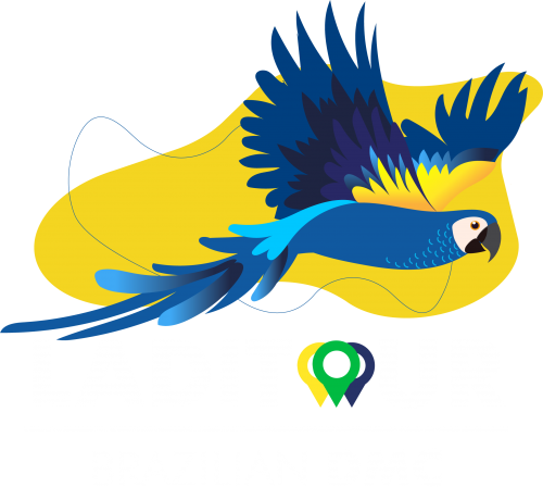 Laditour Brazilian DMC